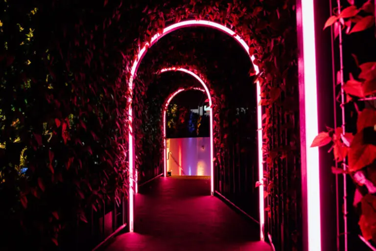 imresizer Jungle Ballroom Secret Tunnel imresizer Jungle Ballroom Secret Tunnel