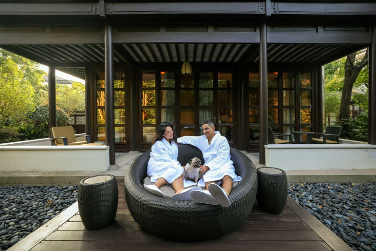 Embark on a Pet Friendly Holiday Embark on a Pet Friendly Holiday