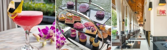 Trailblazing Womens Afternoon Tea 1 1 Trailblazing Womens Afternoon Tea 1 1