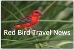 logo 2 Videos Red Bird Travel News