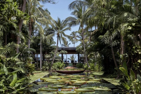 Lotus ponds at Anantara Bophut Koh Samui Resort one of the properties featured in The White Lotus Season 3 ‘White Lotus Effect’ in Full Bloom for Minor Hotels