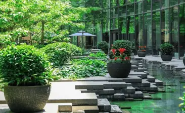 The Garden