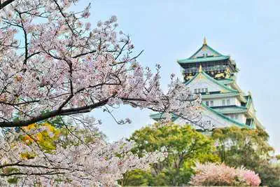 News 136 Japan Brief: Hotel and Retail Sectors to Remain Resilient Despite Decrease in Chinese Visitors