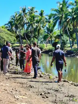 Sheraton Resorts Fiji Mark World Mangrove Day