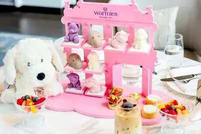 长沙建鸿达JW万豪 英国毛绒玩具Warmies 联名下午茶 3 联名下午茶在酒店35楼 JW 酒廊供应