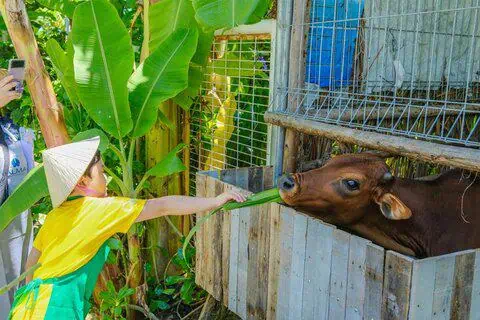 Promotions 74 Alma Resort Vietnam Unveils Discovery Camp for Kids