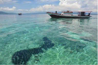 News 197 TransNusa Expands China Network with New Manado–Shenzhen Flights