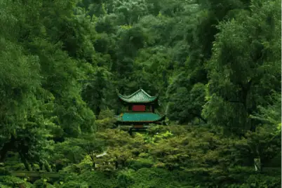 快讯 115 国泰航空开通每日往返香港与长沙直航服务