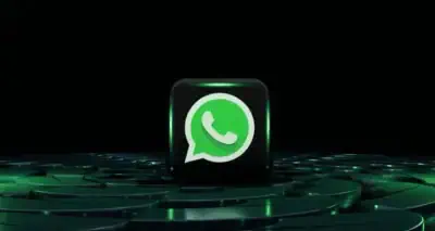 Red Bird Travel News 7 Image Credit Unsplash+