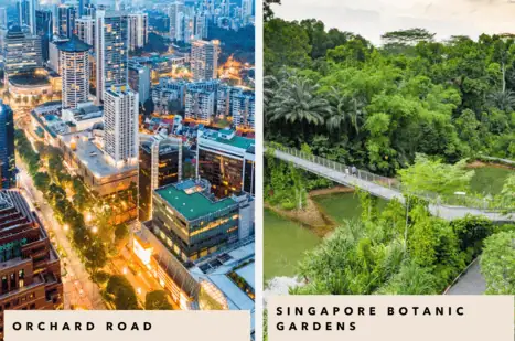 Conrad Singapore Orchard Review: Insider Tips, Dining & Luxury Stays in the Heart of Singapore 4 orchard road and singapore botanical garden