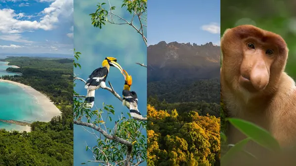 Red Bird Travel News 3 Club Med Borneo Sets November 2026 Opening as Brand’s First BREEAM-Certified Resort in Asia Pacific