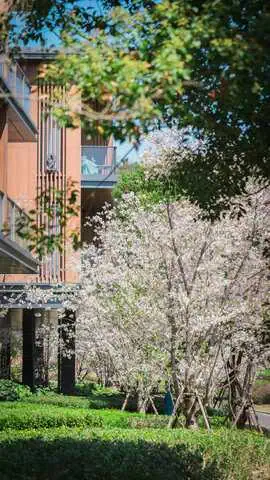 Hotel Indigo Nanjing Garden Expo Review: A Design-Led Quarry Retreat Inside China’s Most Unusual Resort Landscape 7 DSC00893