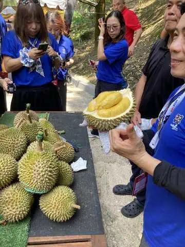 Media delegates listening to a presentation beside a table of fresh Musang King durians at DSR Forest Orchard Café in Bukit Tinggi, Pahang