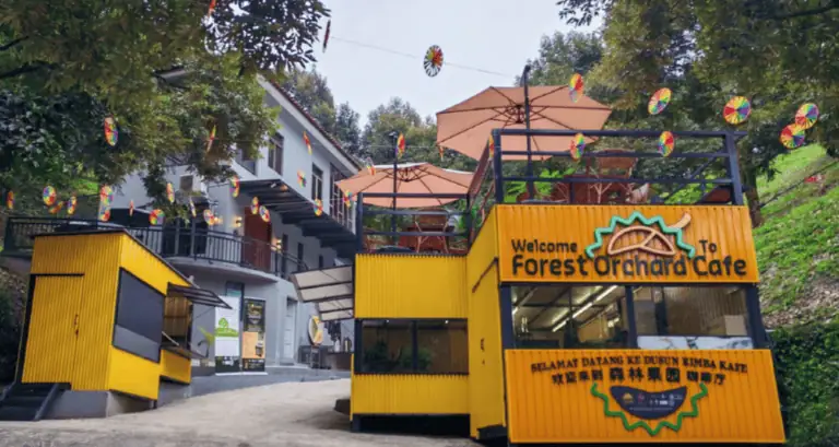 DSR Forest Orchard Café in Bukit Tinggi, Pahang, offering an authentic Musang King durian experience surrounded by the renowned orchards of Raub, Malaysia.